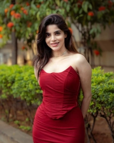 Manali Escort Services